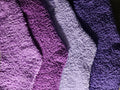 Premium Bundle of 5